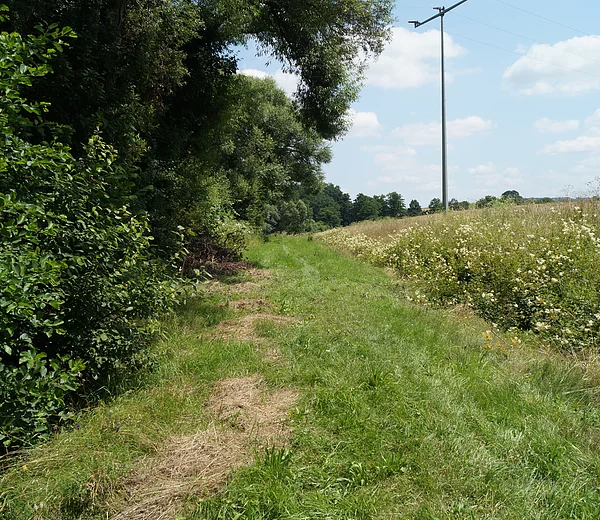 LDM-Kanal, Hausheimer Leitgraben