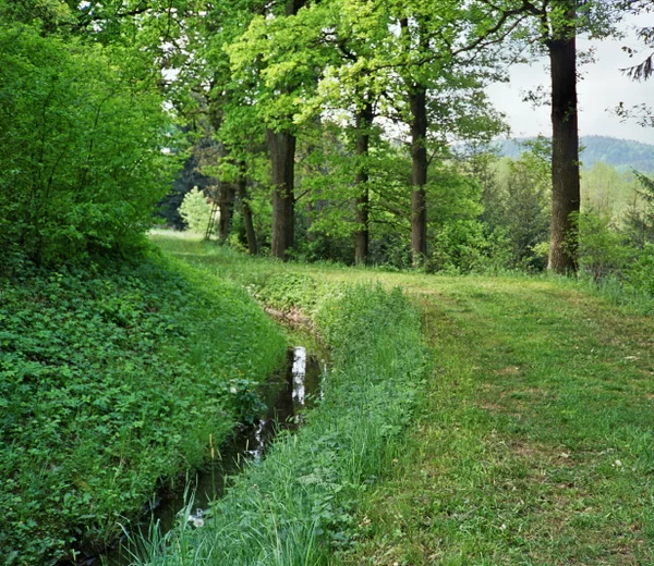 Hausheimer Leitgraben