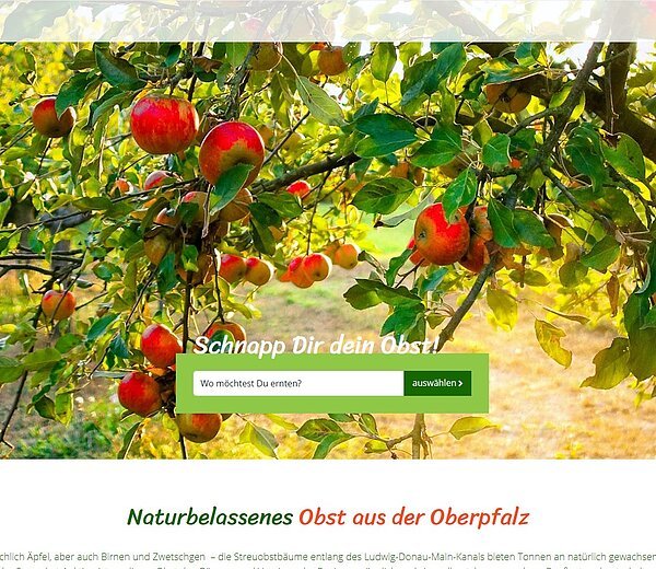 Screenshot Website Streuobst LDM-Kanal